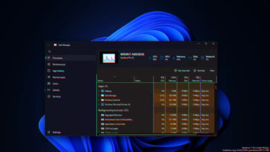 How To Rename Program In Task Manager Tab?